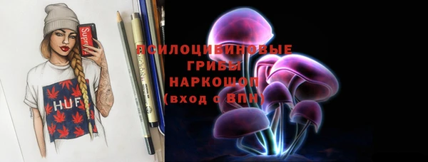 спайс Арсеньев