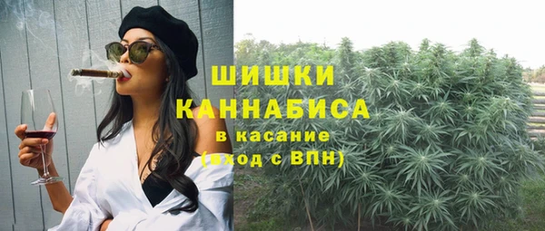 ешки Аркадак