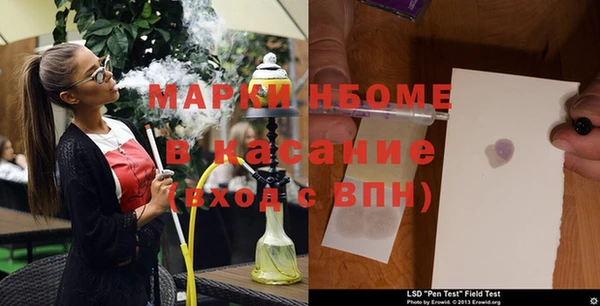 ешки Аркадак